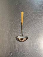 English Cowrie Shell Ladle – product image 1