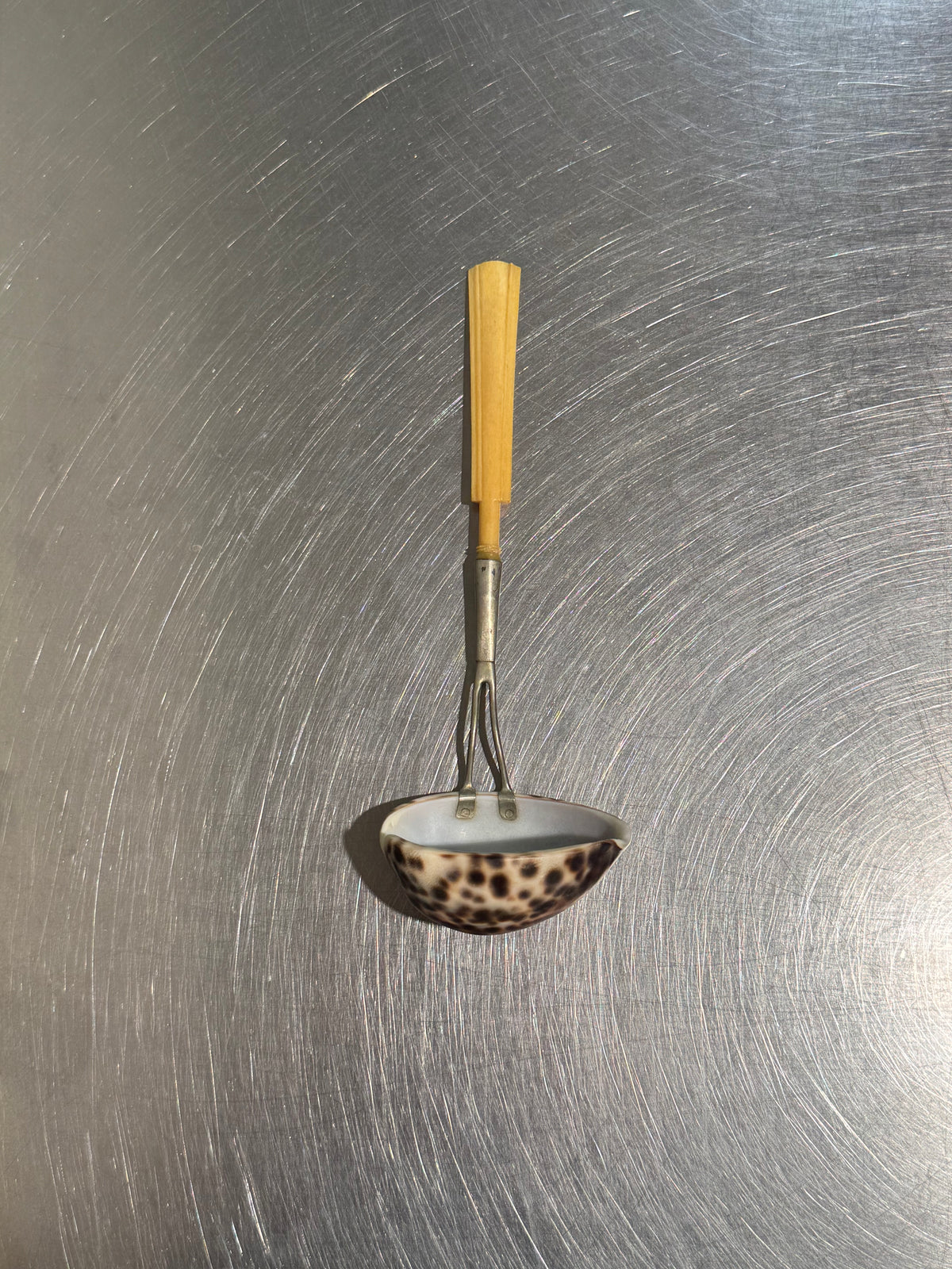 English Cowrie Shell Ladle – product image 1