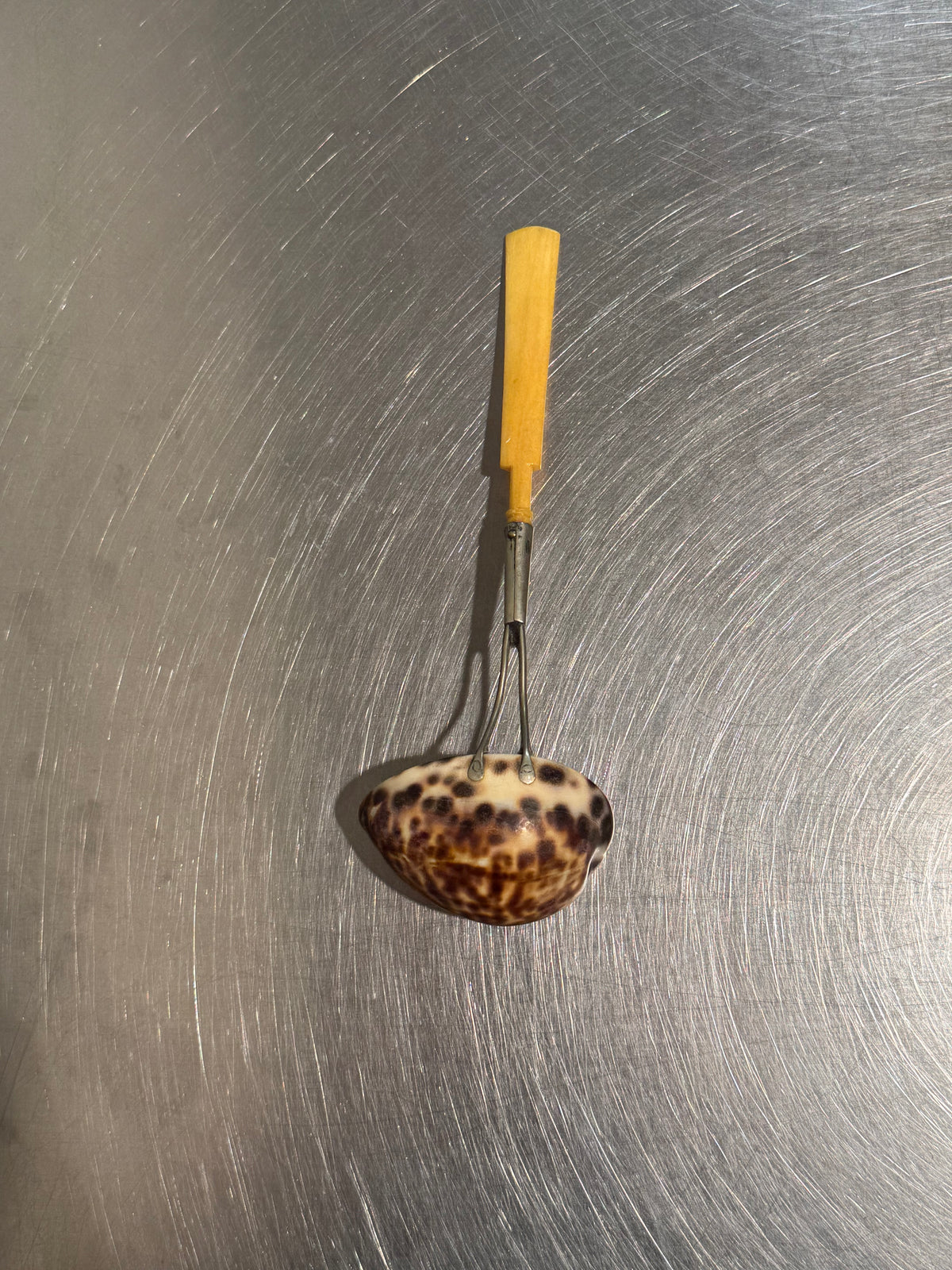 English Cowrie Shell Ladle – product image 2