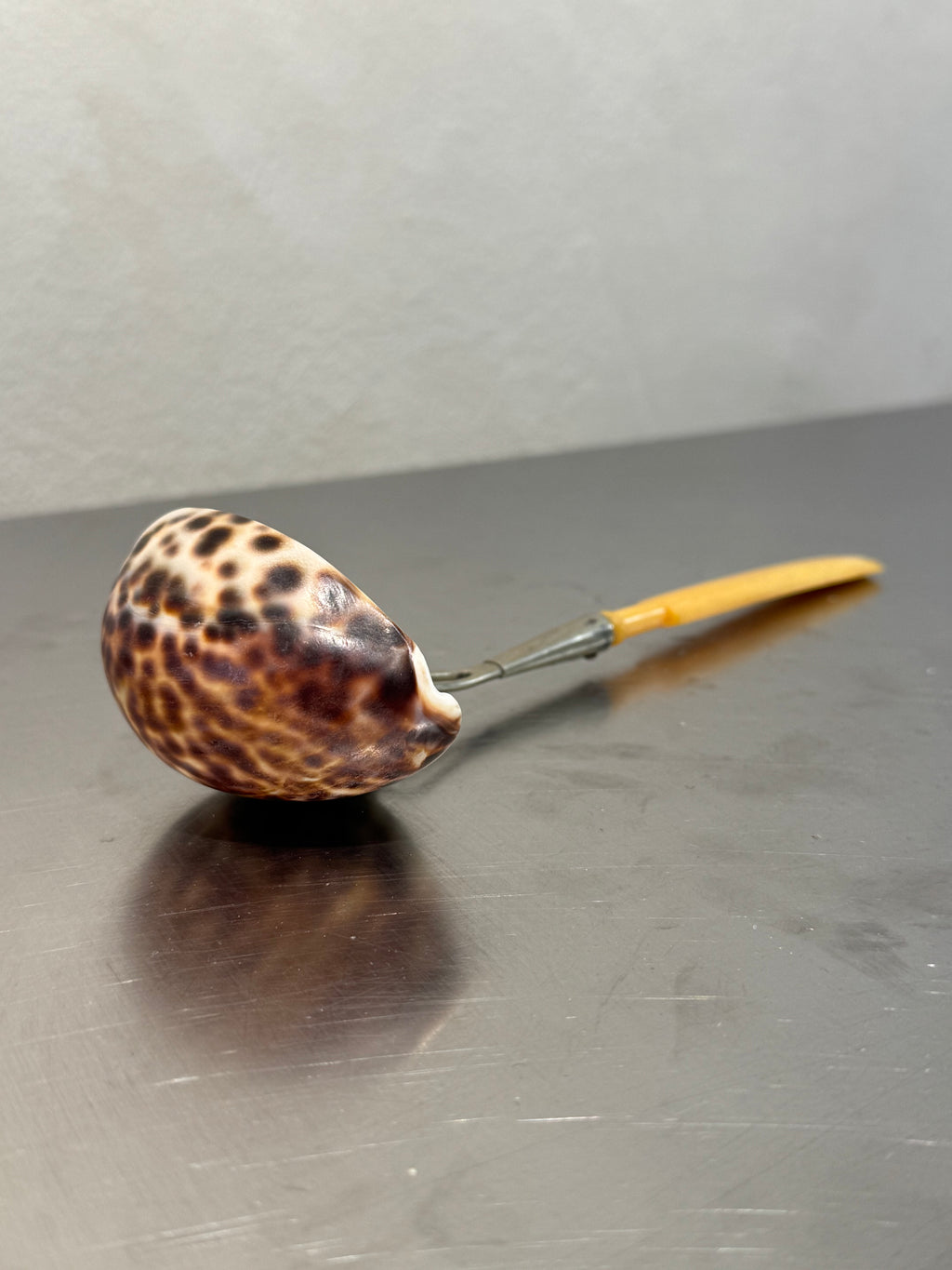 English Cowrie Shell Ladle – product image 3