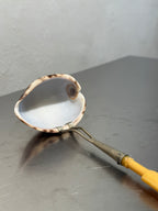 English Cowrie Shell Ladle – product image 5