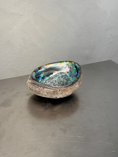 Abalone Shell Bowl – product image 2