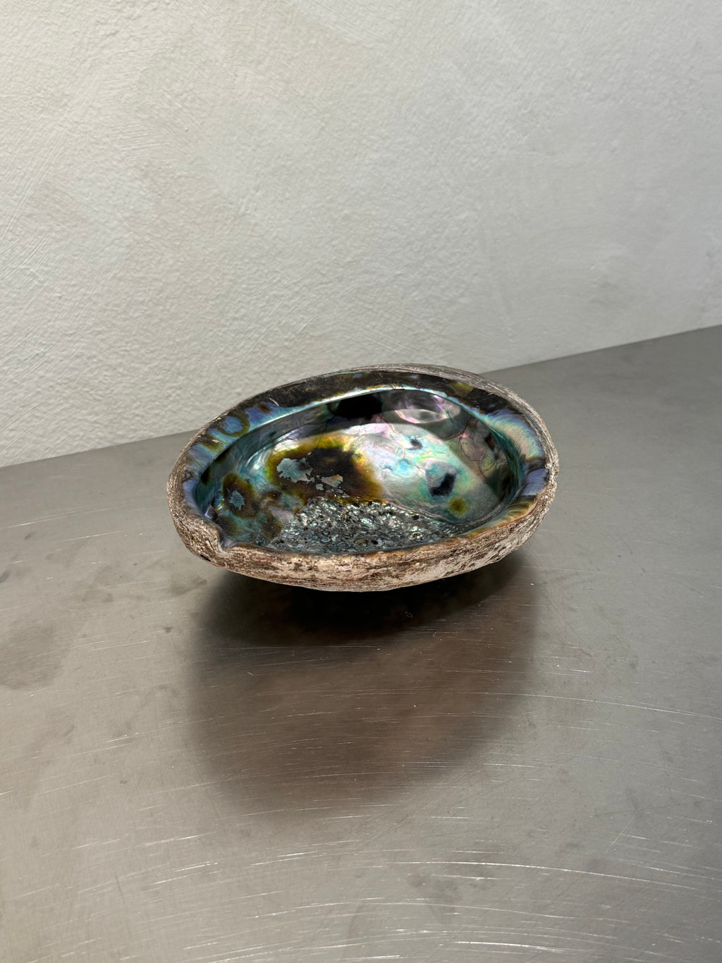 Abalone Shell Bowl – product image 1