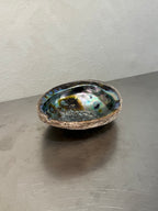 Abalone Shell Bowl – product image 1