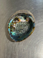Abalone Shell Bowl – product image 3