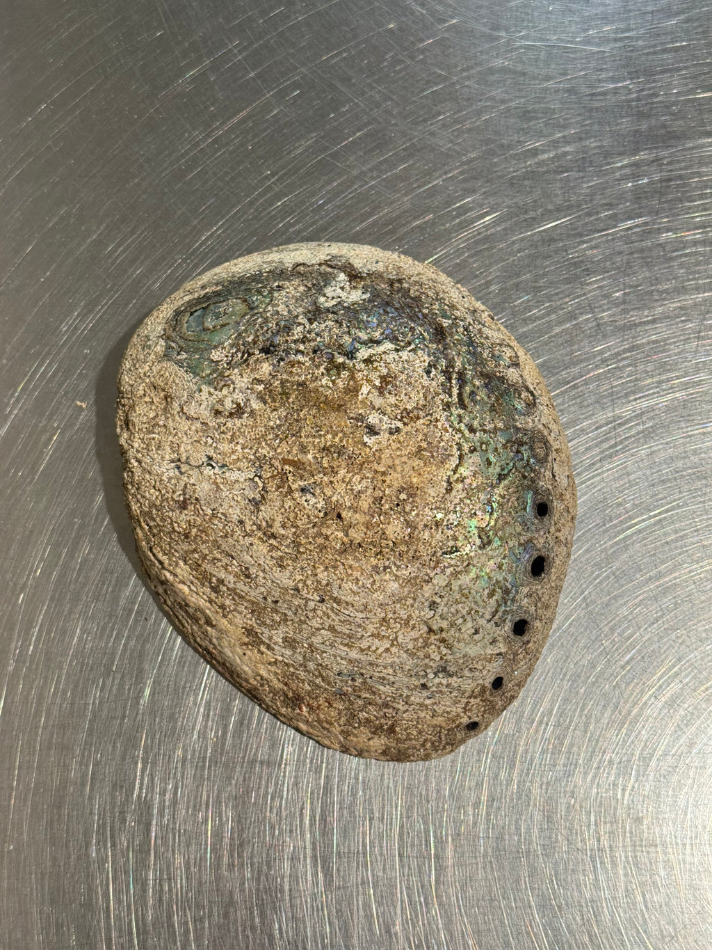 Abalone Shell Bowl – product image 4