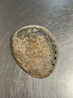 Abalone Shell Bowl – product image 4