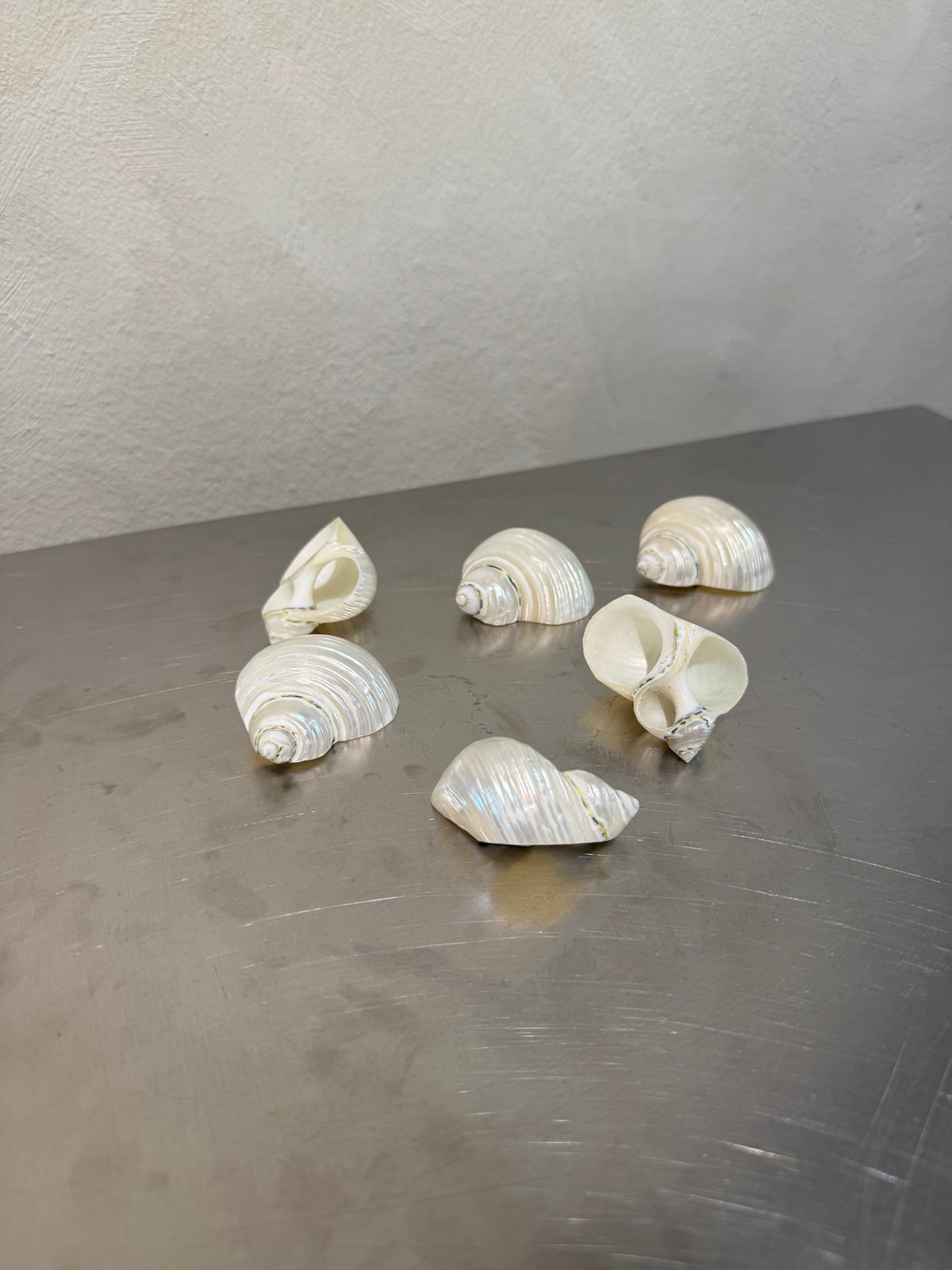Shell Napkin Rings Set of 6 – product image 2