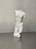 Plaster-Finished Torso – product image 1