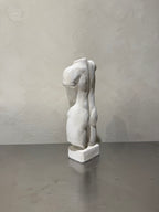 Plaster-Finished Torso – product image 3