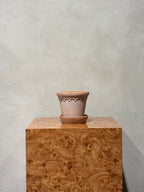 Københavner Pot Rosa Terracotta 12 cm