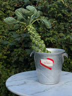 G.H. Mumm Champagne Cooler